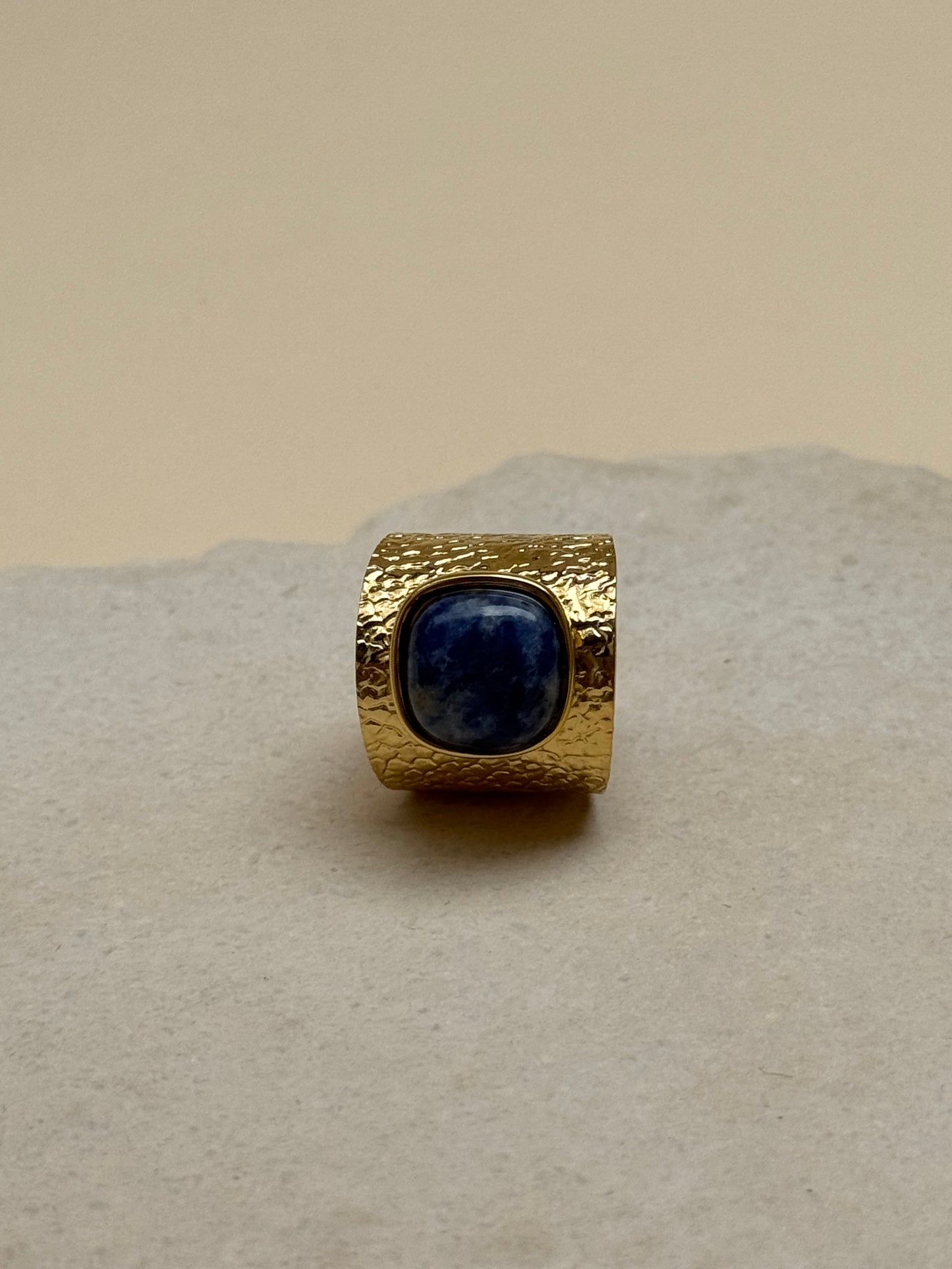 BAGUE EVASION