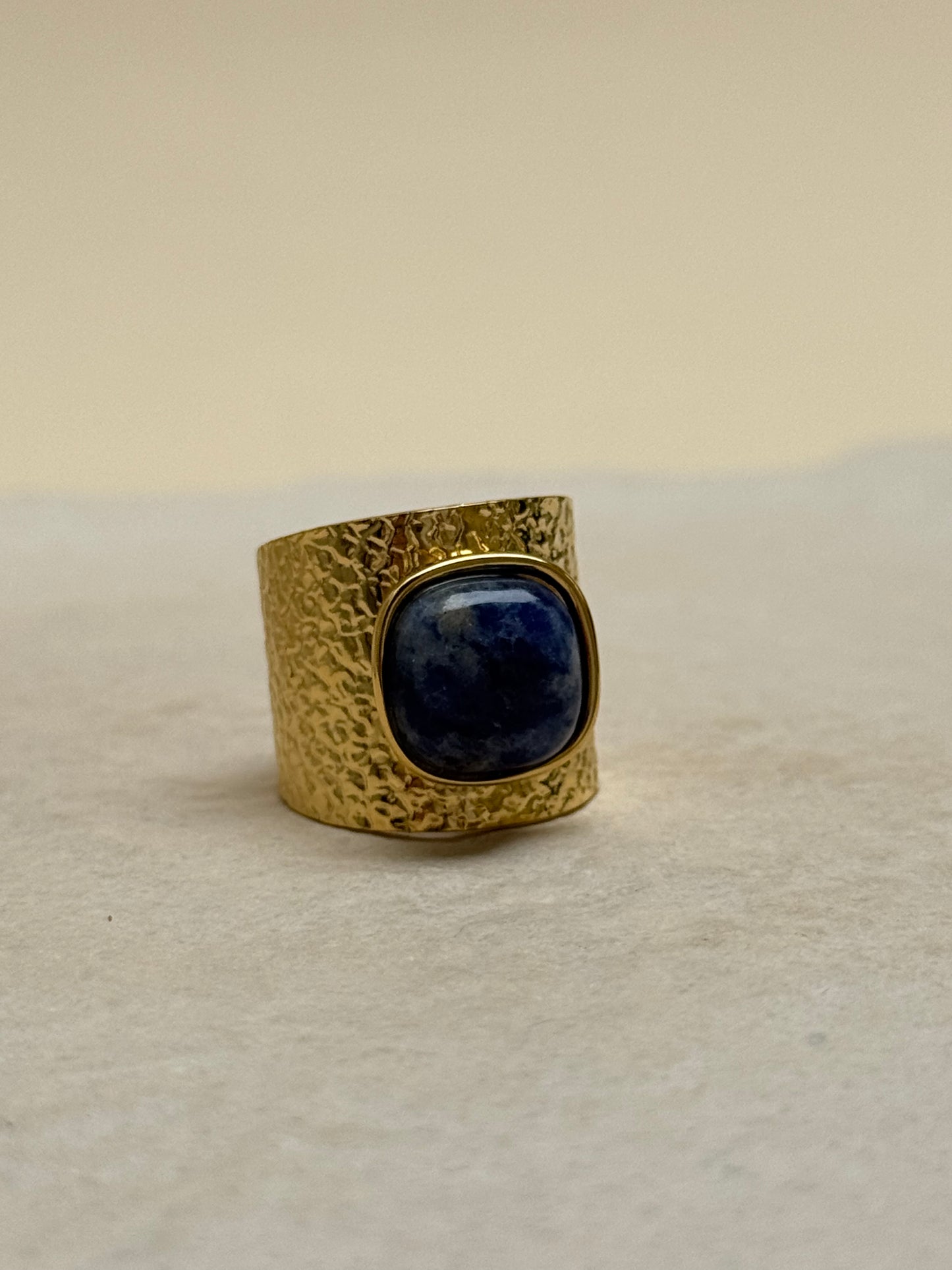BAGUE EVASION