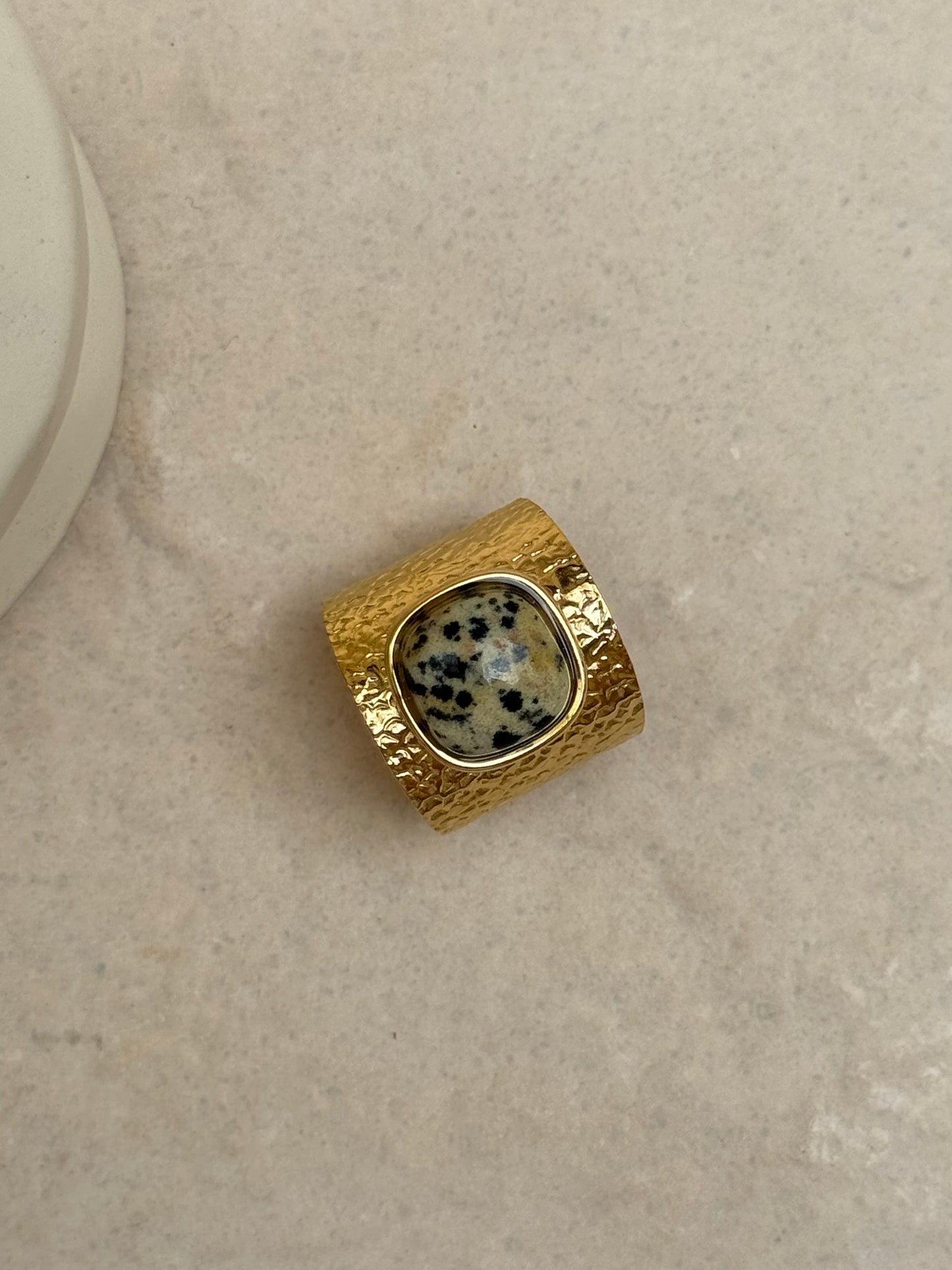 BAGUE EVASION