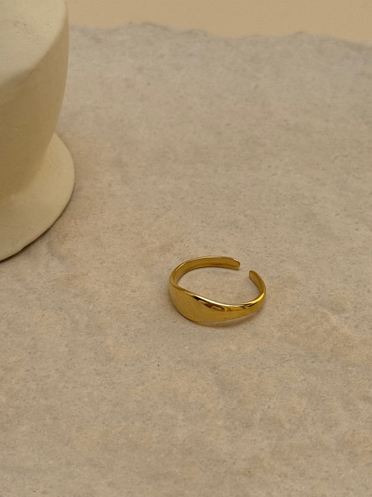 BAGUE ÉBÈNE